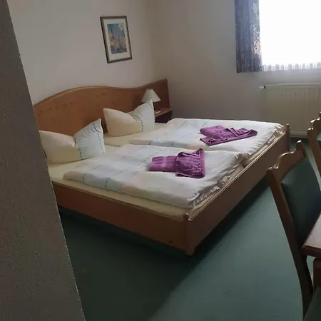 Goldener Loewe Hotel 4*